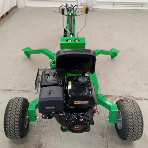 IMG_20240718_143125 IMG_20240718_143125