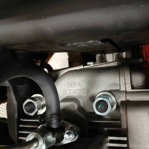 20241111_122009-scaled 20241111_122009-scaled