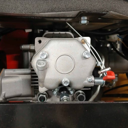 20241111_122012-scaled 20241111_122012-scaled