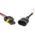 5903293036693-LED-ajovalopolttimot-D1S:D3S:D8S-CANBUS-6063lm-Amio-6