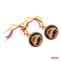 5903293048344-Polttimon-kanta-T20-12V-2kpl-Amio-2