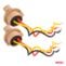 5903293048344-Polttimon-kanta-T20-12V-2kpl-Amio-3